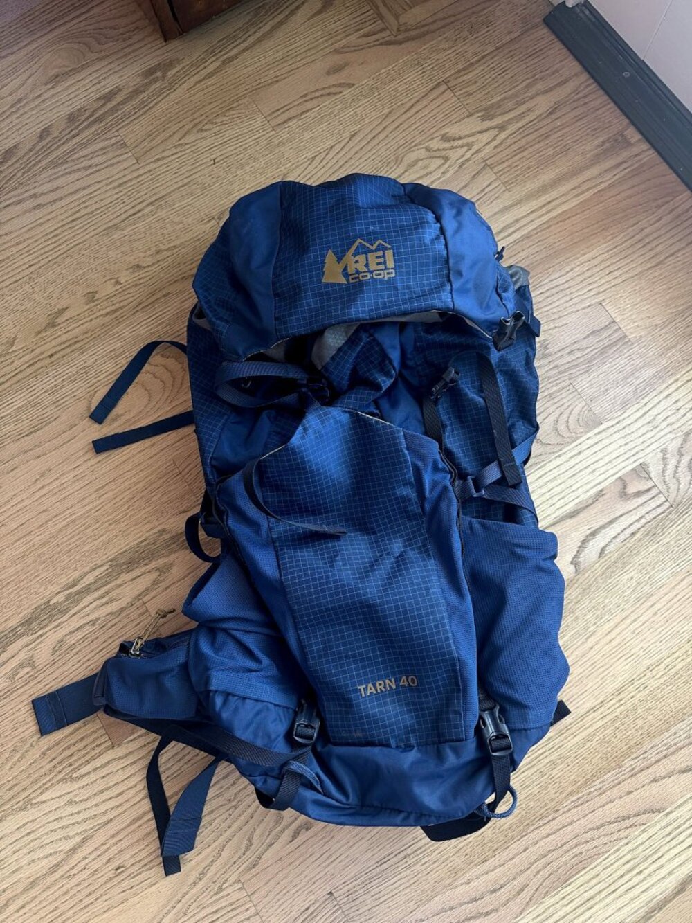 REI Co-op Tarn 40 Kids' Backpacking Pack Navy Blue